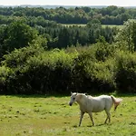 Elegant Retreat, Somme-leuze Villa