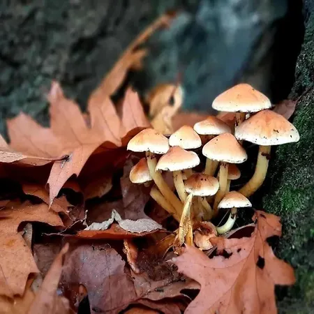 Elegant Retreat, Somme-leuze Willa *