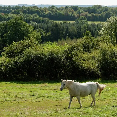 Elegant Retreat, Somme-leuze Willa